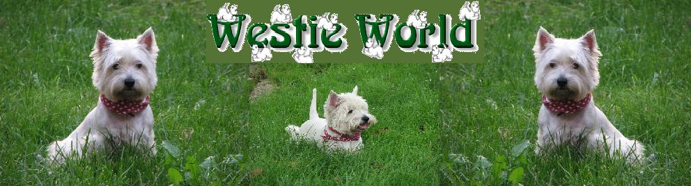 westie07